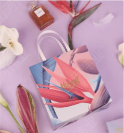 Custom Luxury Gift Bags & Ribbon Gift Boxes | Elegant Printed Packaging