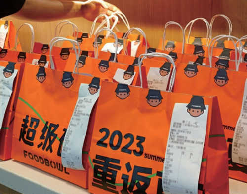 Takeout Packaging Handbag | Food Delivery Carry Bag